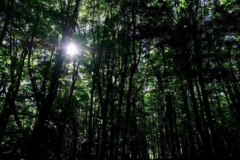 Natura Essenza S.r.l. - Image 2